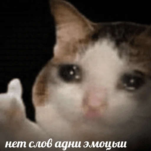 😢 Стикер «чикибамбони» для Telegram