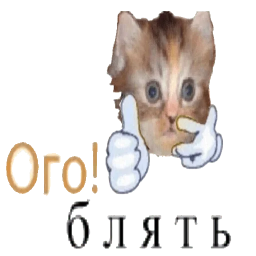 👍 Стикер «чикибамбони» для Telegram