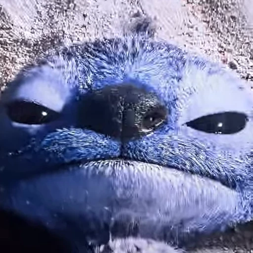 🌟 Стикер «Stitch» для Telegram