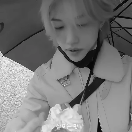😱 Стикер «stray kids felix» для Telegram
