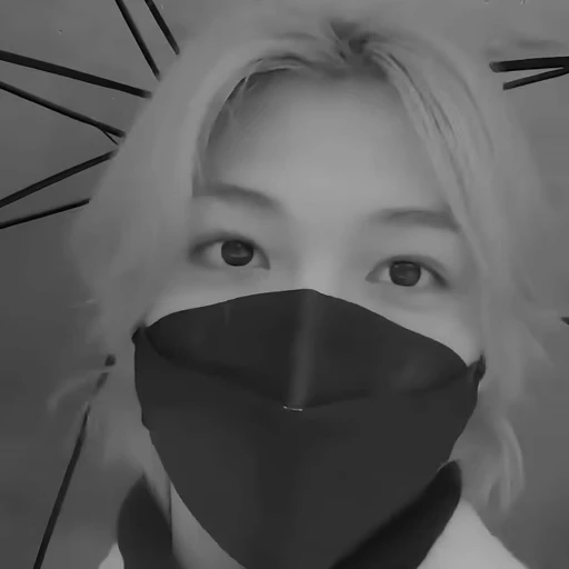 🤑 Стикер «stray kids felix» для Telegram