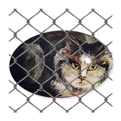 🤫 Стикер «stonecat» для Telegram