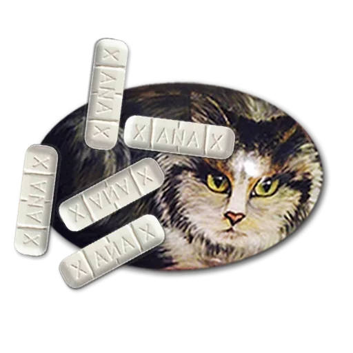 🥺 Стикер «stonecat» для Telegram
