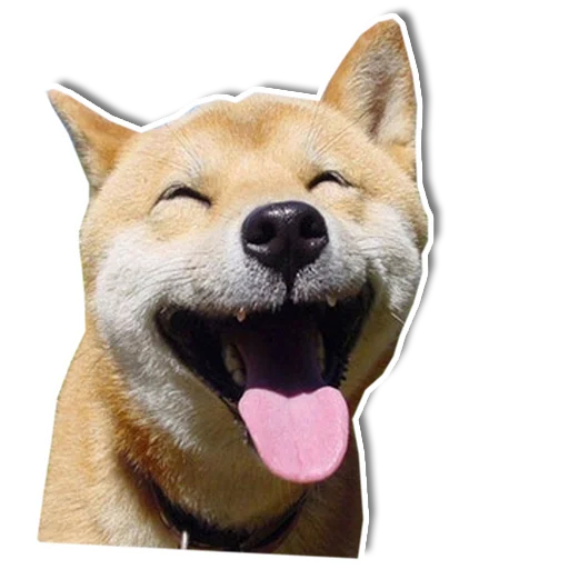 😜 Стикер «Упоротый пес» для Telegram