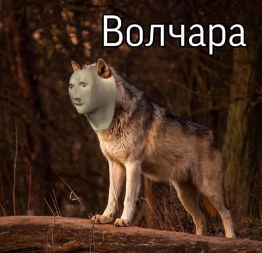 ☝️ Стикер «Stooooonks» для Telegram