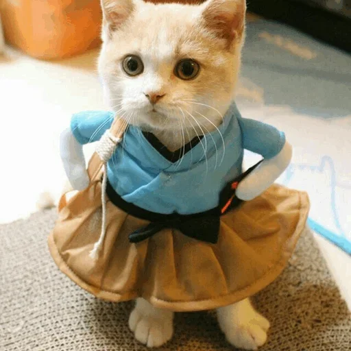 😋 Стикер «Stooped Cats» для Telegram