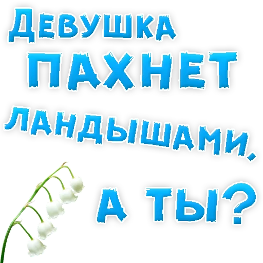 👌 Стикер «Бросай Курить» для Telegram