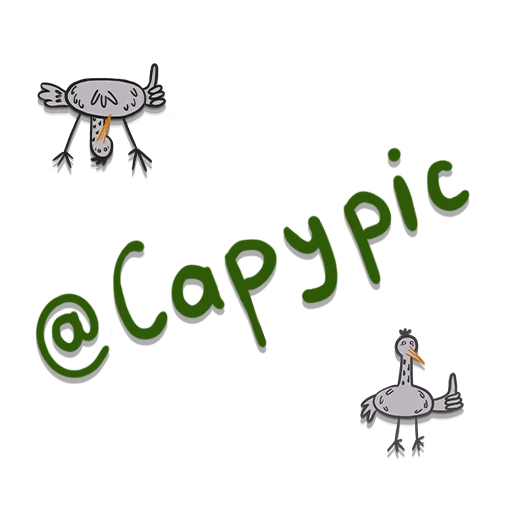 🐾 Стикер «StorkStickers» для Telegram