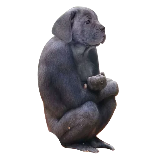 😮 Стикер «Strange Animals» для Telegram