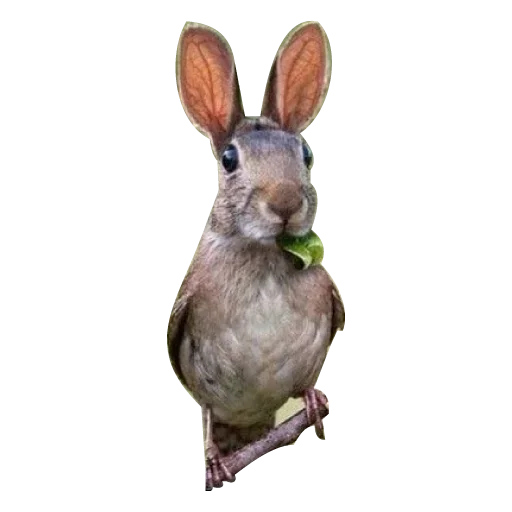 🤐 Стикер «Strange Animals» для Telegram