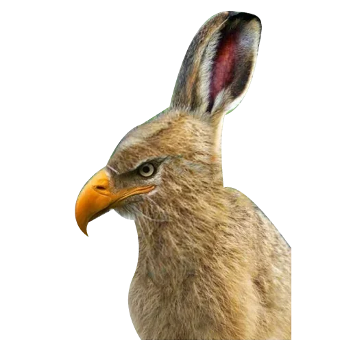 😳 Стикер «Strange Animals» для Telegram