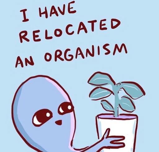 🌱 Стикер «Strange Planet» для Telegram