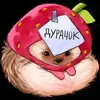 Стикер 33 Набор эмоджи с клубничной ежихой Лёлей из ВК в HD качестве