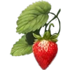 🍓 Эмодзи «Клубника» для Telegram