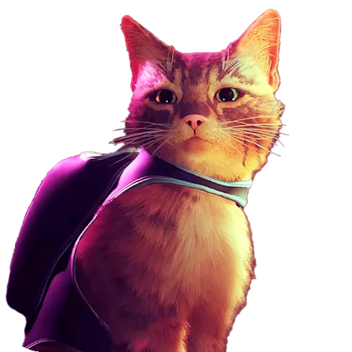 🐱 Стикер «Stray» для Telegram