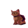 🐈 Эмодзи «Stray» для Telegram