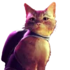 🐈 Эмодзи «Stray» для Telegram