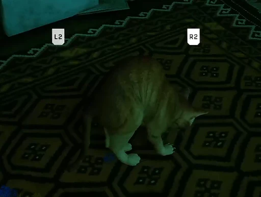 😼 Стикер «Stray» для Telegram