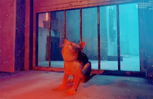🐱 Стикер «Stray» для Telegram