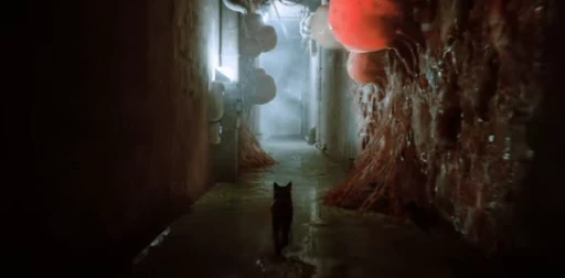 🐈 Стикер «Stray» для Telegram