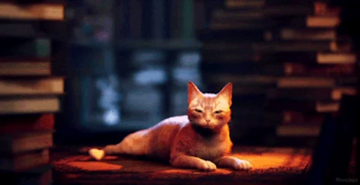 🐱 Стикер «Stray» для Telegram