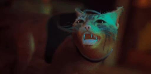 😾 Стикер «Stray» для Telegram