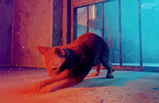 🐈 Стикер «Stray» для Telegram