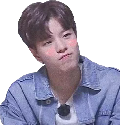 Стикерпак straykids©char для Telegram