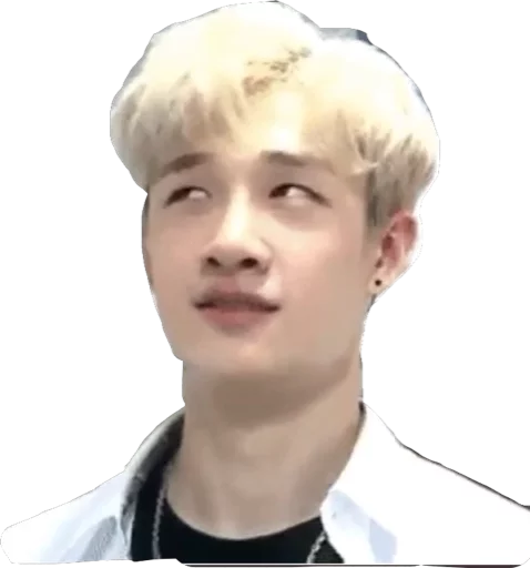 🙄 Стикер «straykids©char» для Telegram