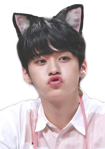 😽 Стикер «Ни Хао, аннён, лапонька» для Telegram
