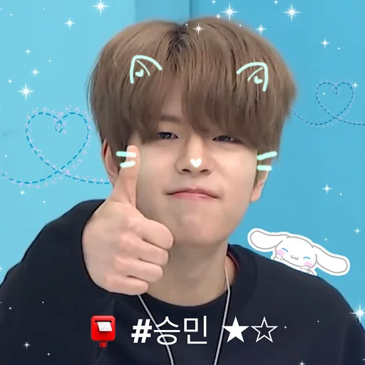 😼 Стикер «SKZ» для Telegram