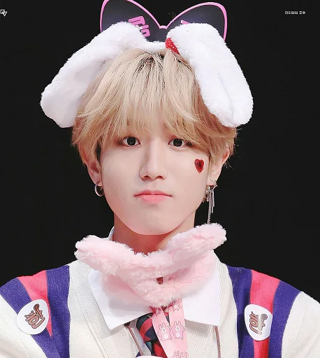 🐰 Стикер «SKZ» для Telegram