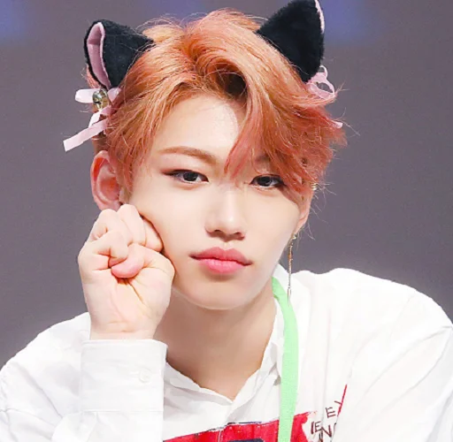 😺 Стикер «SKZ» для Telegram