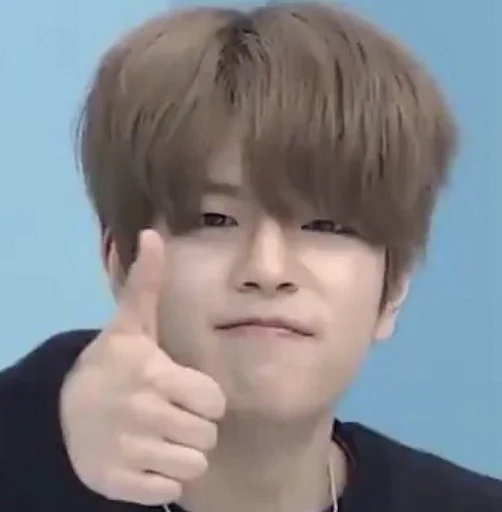 👍 Стикер «SKZ» для Telegram