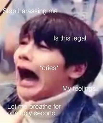 😭 Стикер «stan straykids» для Telegram