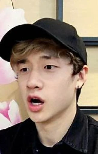 🙀 Стикер «stan straykids» для Telegram