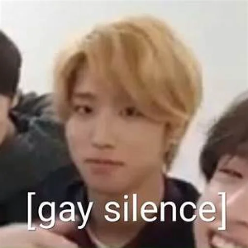 🤐 Стикер «stan straykids» для Telegram