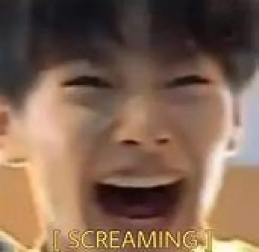 😫 Стикер «stan straykids» для Telegram