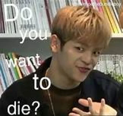 🤬 Стикер «stan straykids» для Telegram