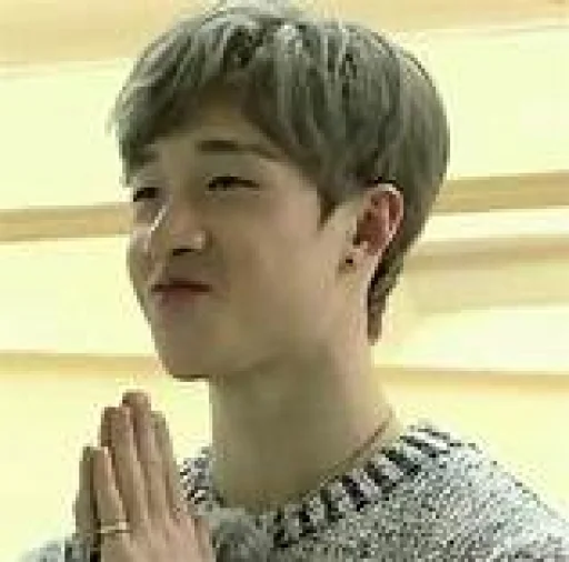 🙏 Стикер «stan straykids» для Telegram