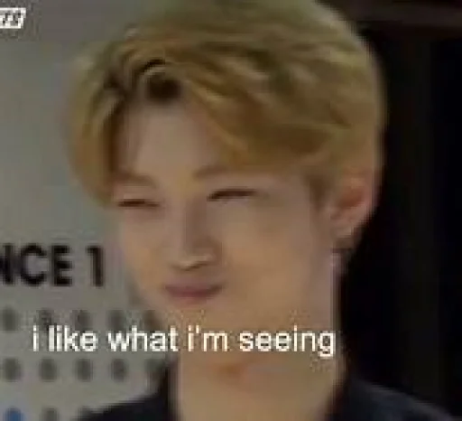 😏 Стикер «stan straykids» для Telegram