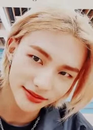 😌 Стикер «Stray Kids 2» для Telegram