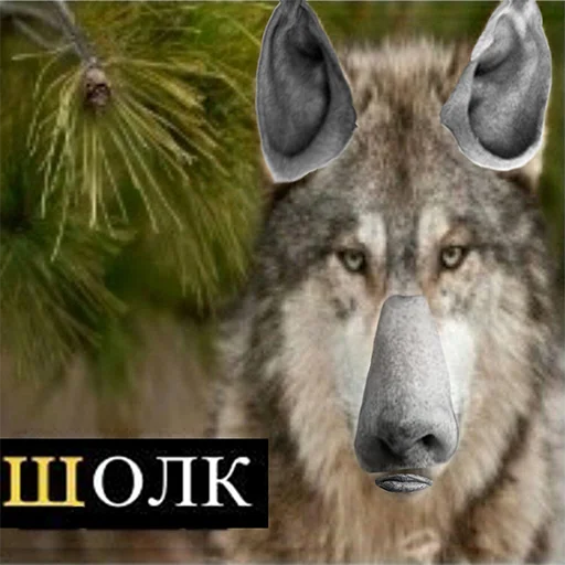 🤨 Стикер «Сильный не тот, кто сильный» для Telegram