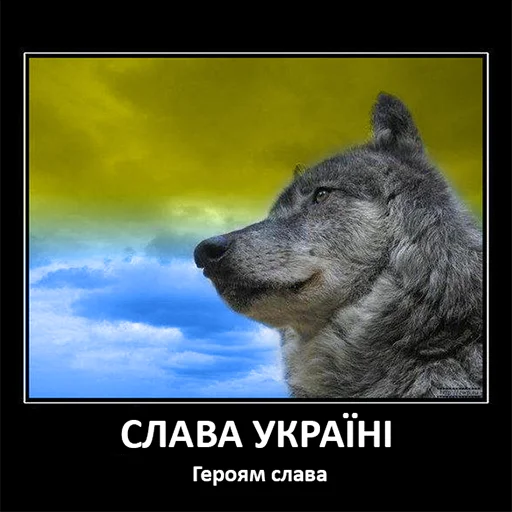 🇺🇦 Стикер «Сильный не тот, кто сильный» для Telegram