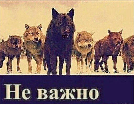 😏 Стикер «Сильный не тот, кто сильный» для Telegram