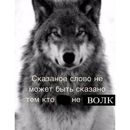 😡 Стикер «Сильный не тот, кто сильный» для Telegram