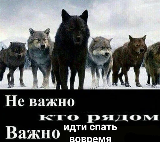 😴 Стикер «Сильный не тот, кто сильный» для Telegram