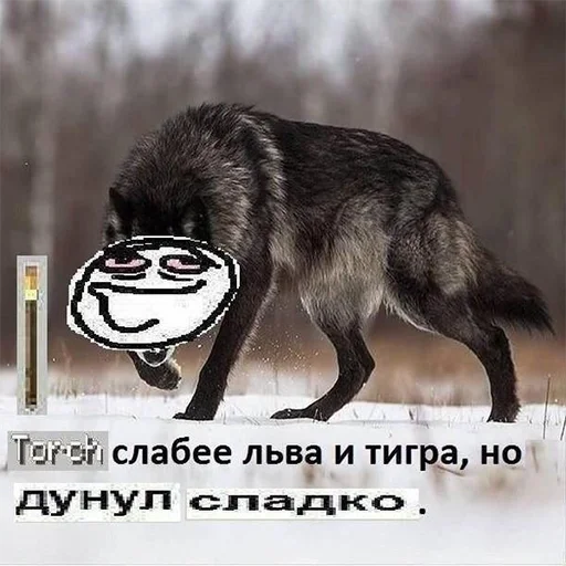 🤤 Стикер «Сильный не тот, кто сильный» для Telegram