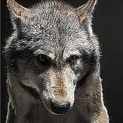 🐺 Стикер «Сильный не тот, кто сильный» для Telegram