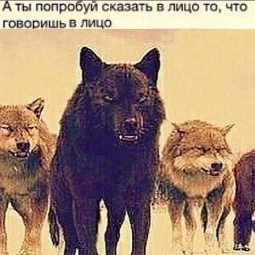 🤨 Стикер «Сильный не тот, кто сильный» для Telegram